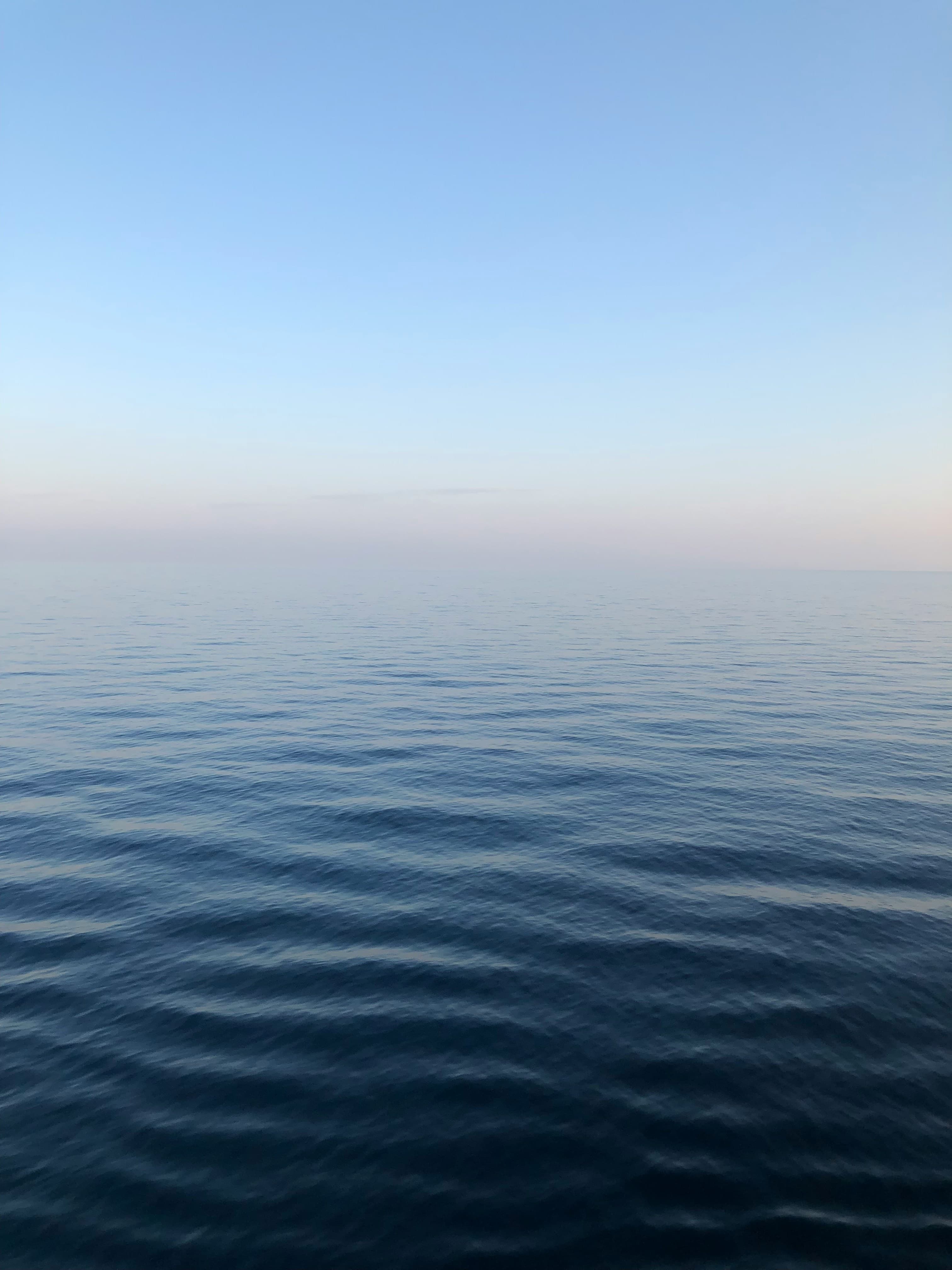 People connecting virtually